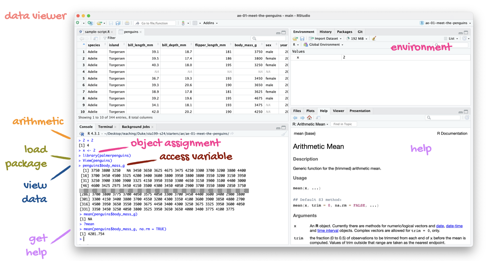 RStudio IDE
